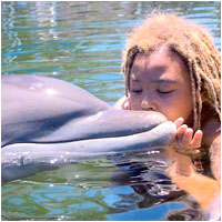 Dolphin Therapy
