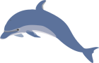 Right Dolphin